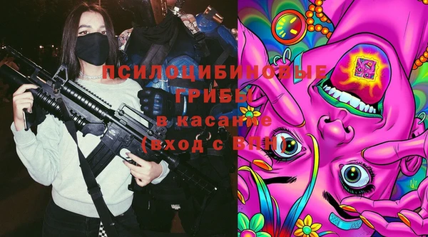 ГАЛЛЮЦИНОГЕННЫЕ ГРИБЫ Вязники