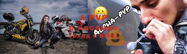 ГАЛЛЮЦИНОГЕННЫЕ ГРИБЫ Вязники