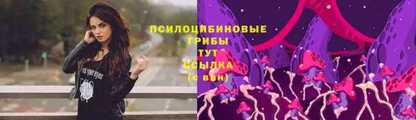 ГАЛЛЮЦИНОГЕННЫЕ ГРИБЫ Вязники