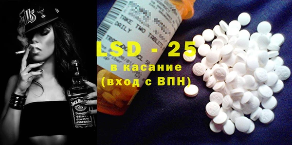 ГАЛЛЮЦИНОГЕННЫЕ ГРИБЫ Вязники