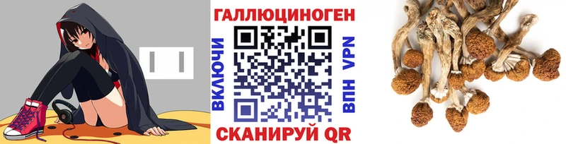 Псилоцибиновые грибы GOLDEN TEACHER  хочу наркоту  Нестеровская 